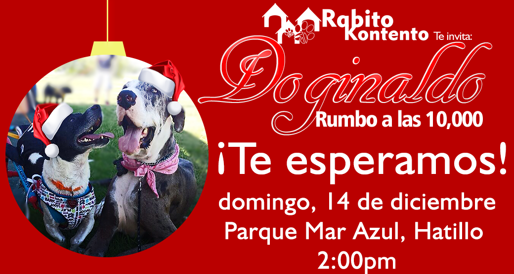 2do Doginaldo | Rumbo a las 10,000lbs