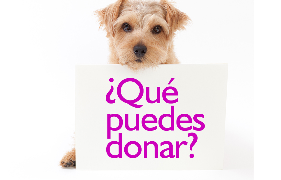 ¿Qué puedes donar?