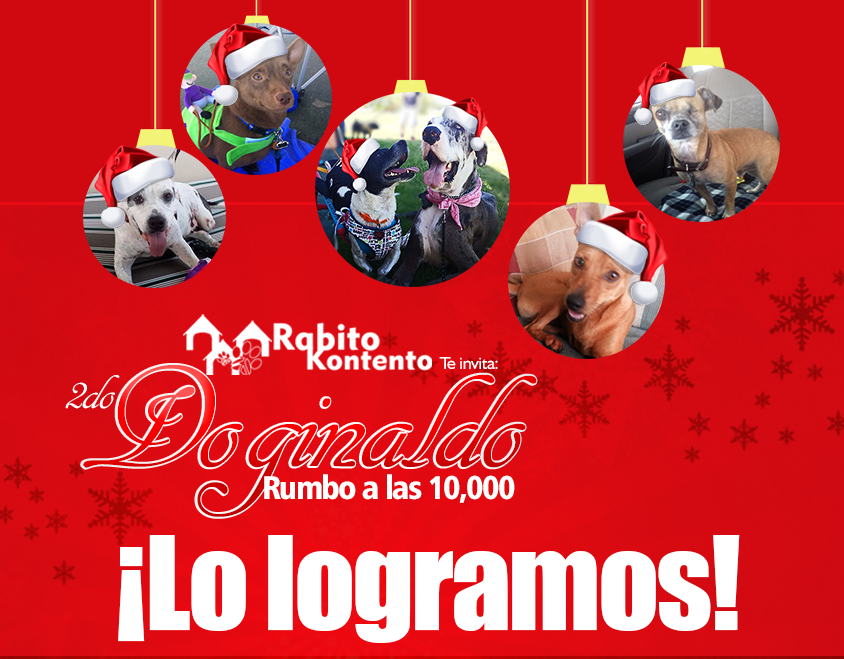 Gracias!! Lo logramos! | 2do Doginaldo