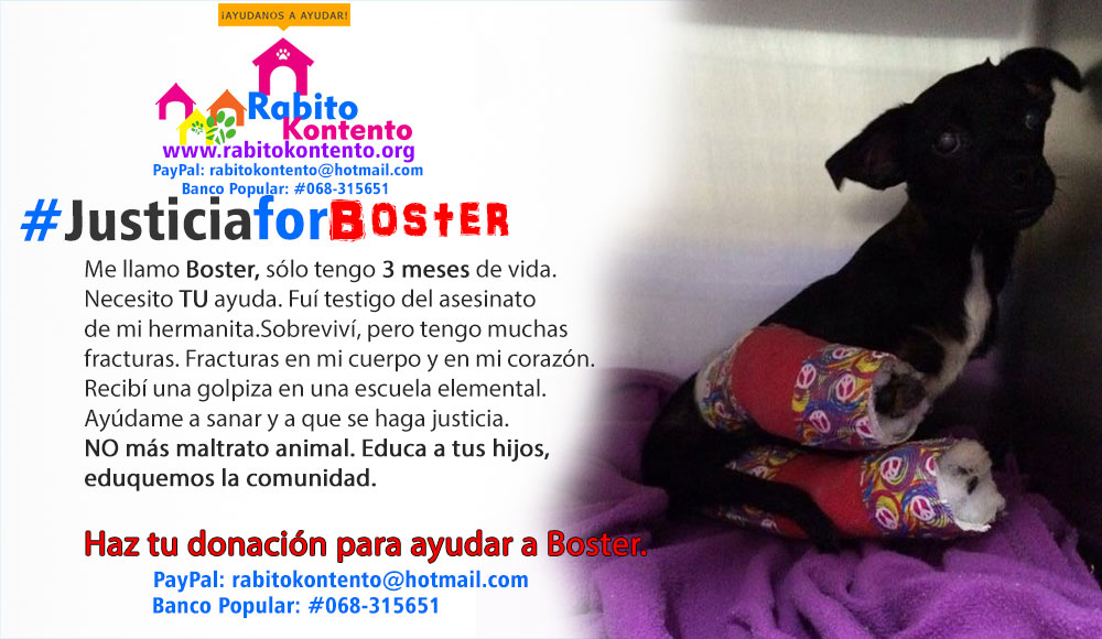 Ayudemos a Boster