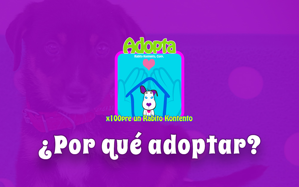 La importancia de adoptar