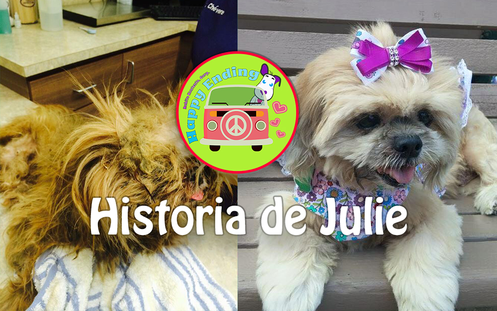 La Historia de Julie