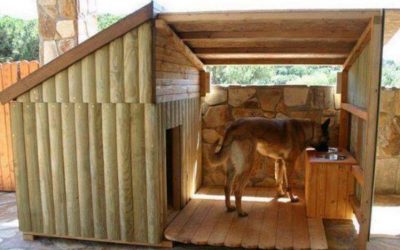 Recomendaciones para las Casitas de Perros en diferentes episodios climáticos: