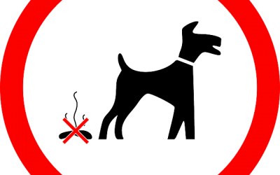 La importancia de recoger las heces de los perros en la calle