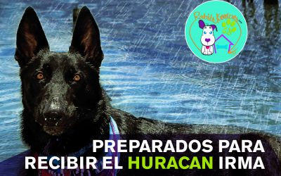 Huracán Irma