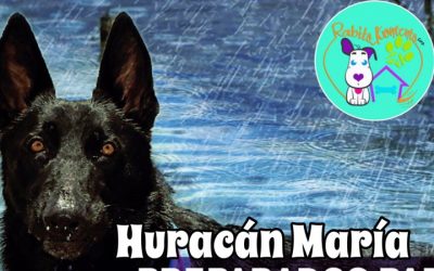 Huracán María