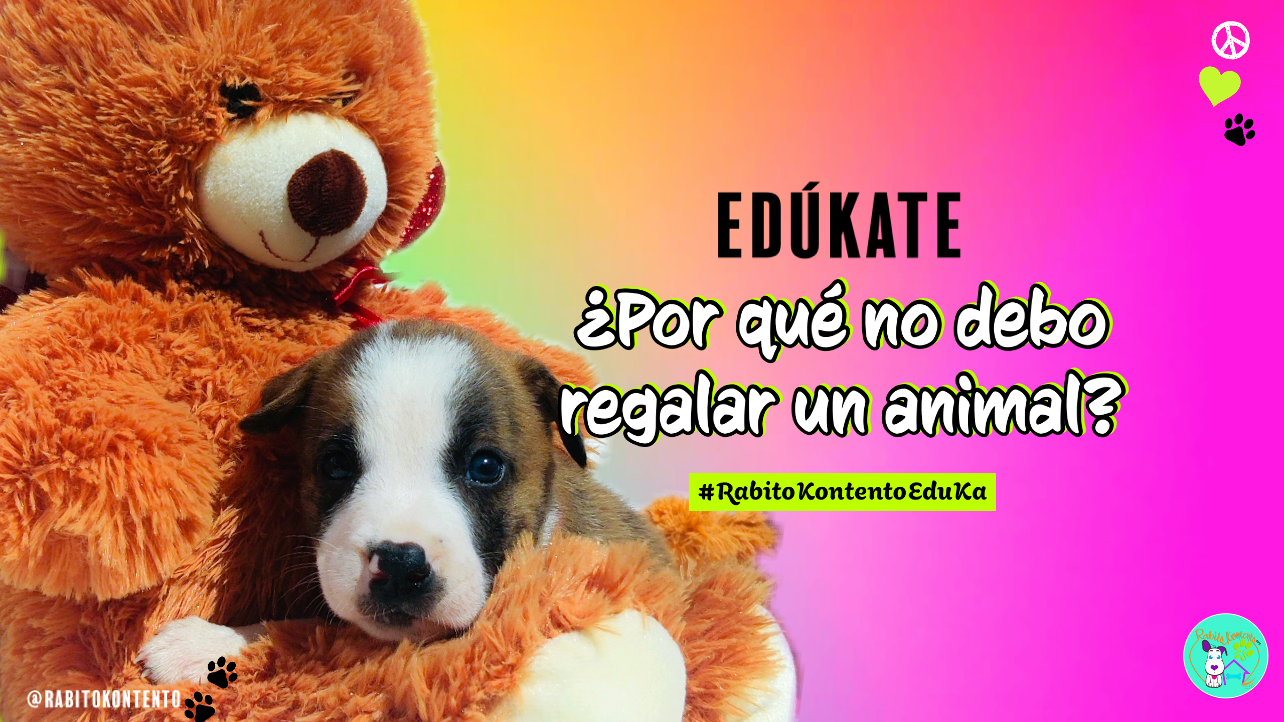 No regales animales