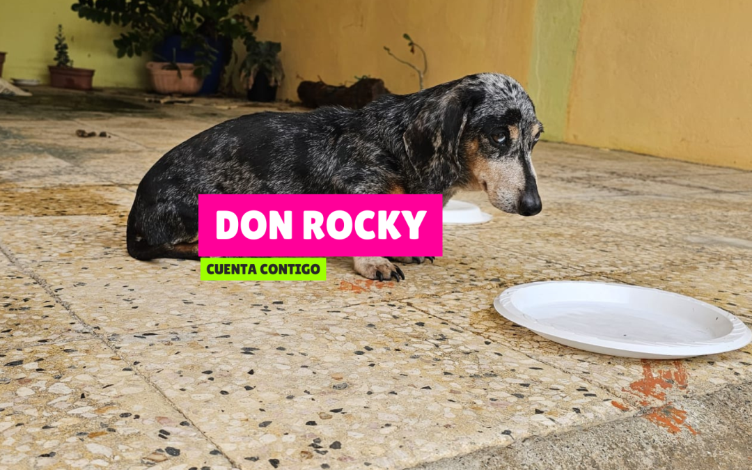 Don Rocky
