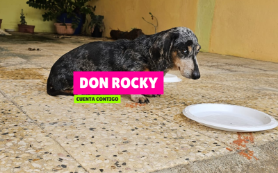 Don Rocky